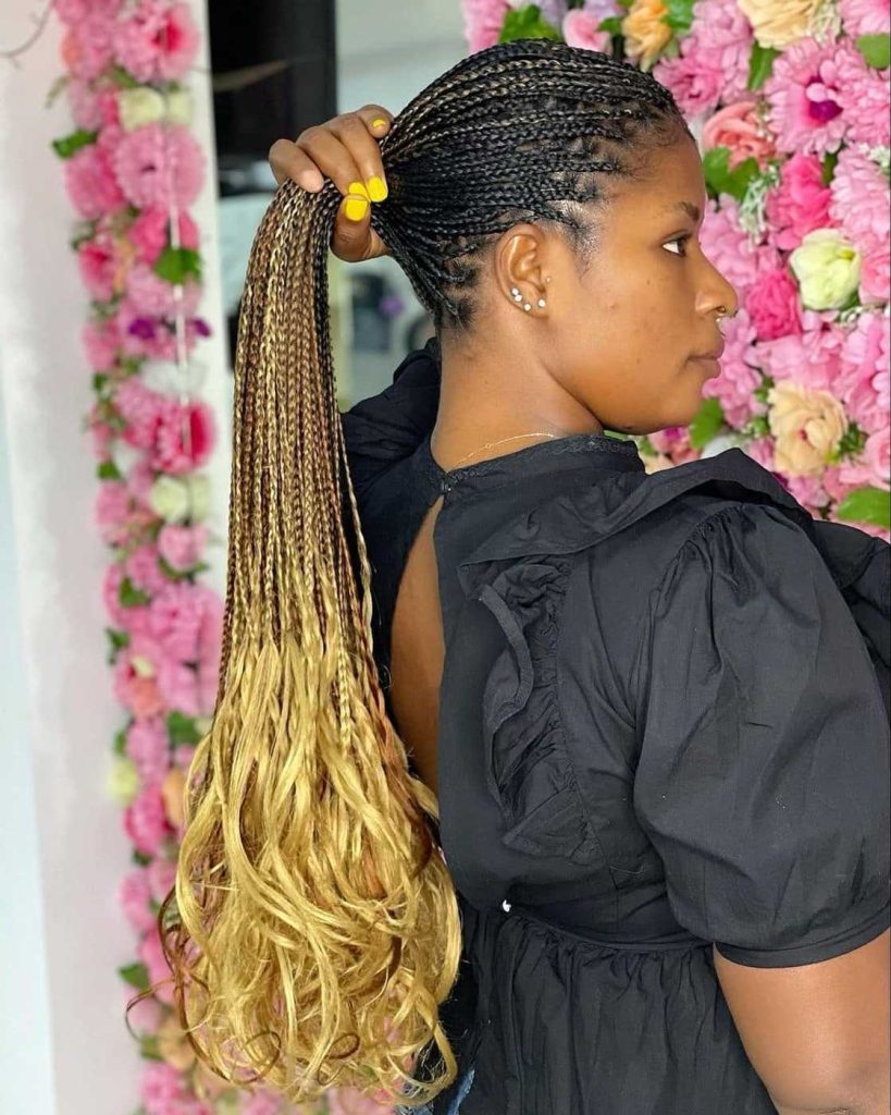 Lovely professional braids for oval face
