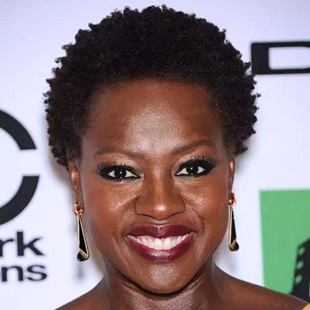 Amazing black hairstyles over 50 styles