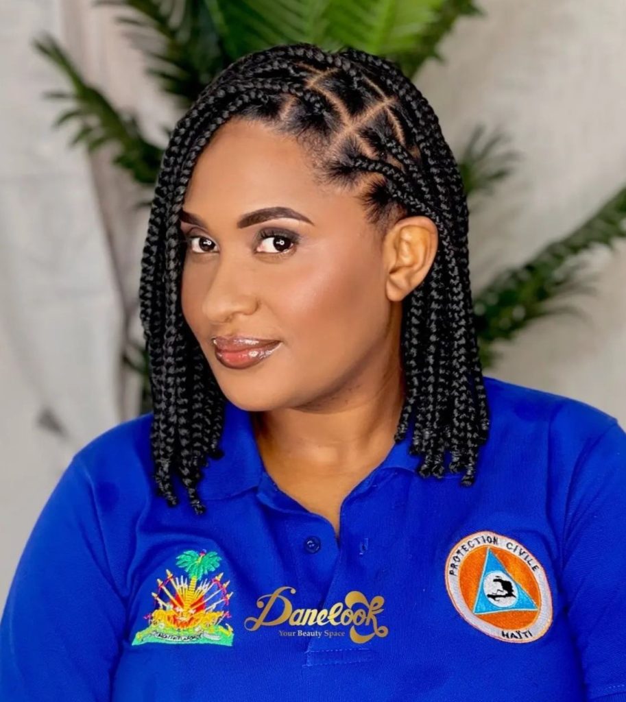 Bright braids hairstyles for natural hair with attachment