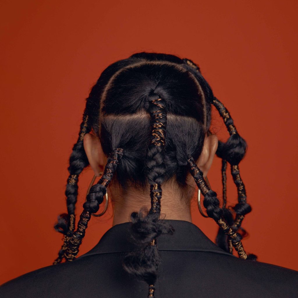 Incredible box braids 2026