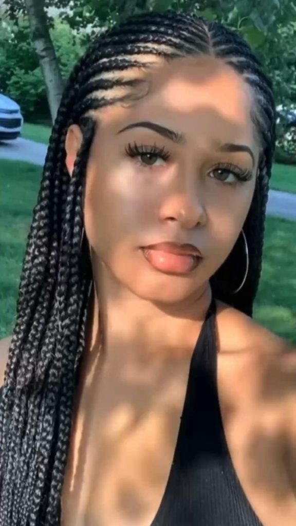 Remarkable braids for oval face for beginners