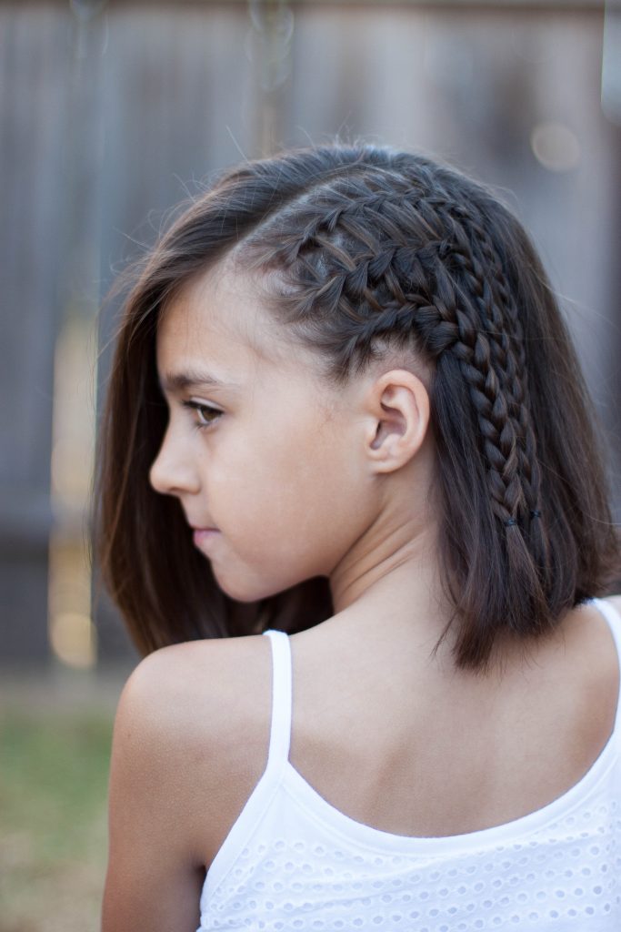 Calming hairstyles braids for ladies for thick hair