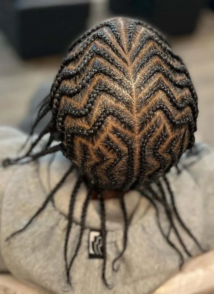 Impressive hairstyles men with braids 2026