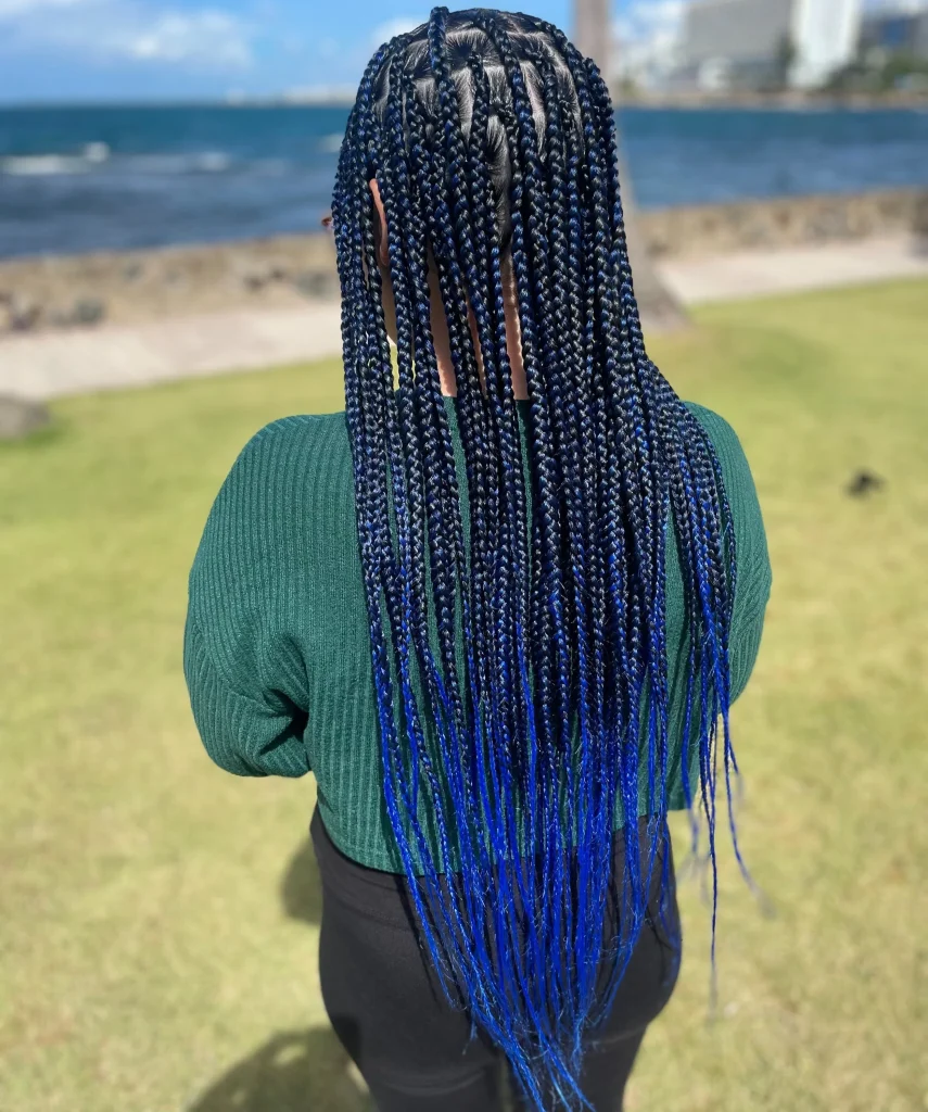 Pretty protective braids for straight hair