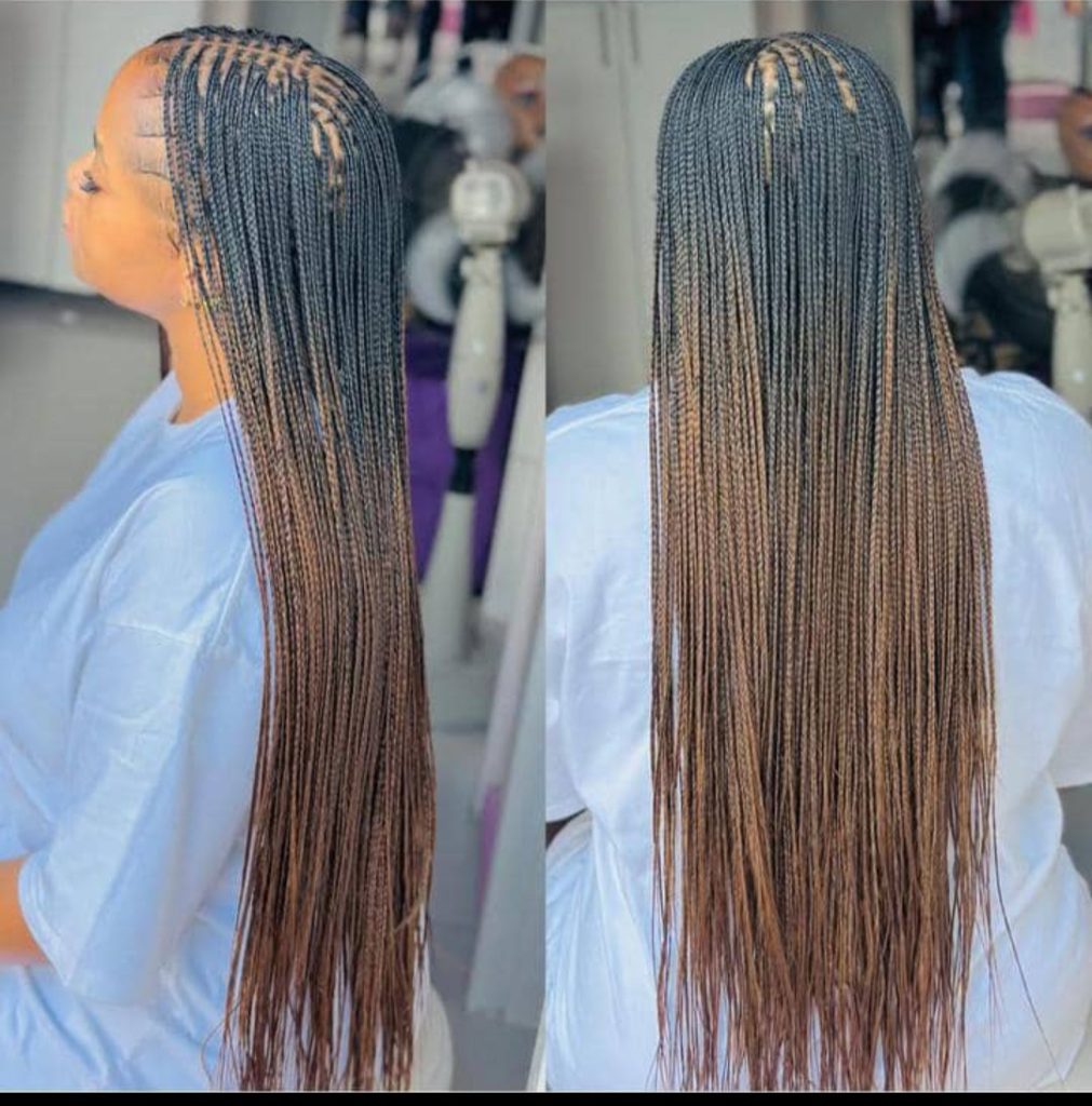 Modern protective hairstyles for braids for straight hair